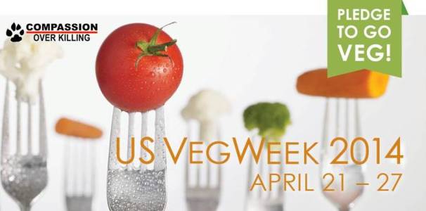 VegWeek