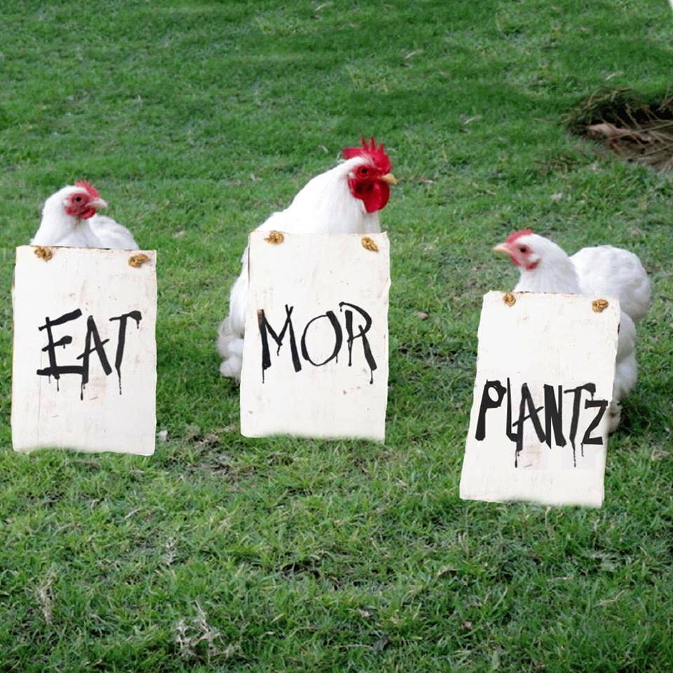 vegan