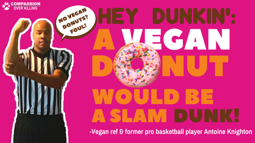vegan donut