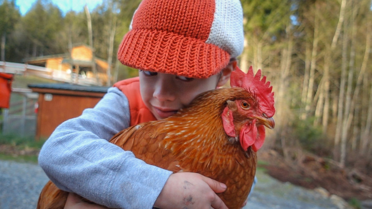 boy with chicken national chicken month