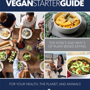 vegan starter guide