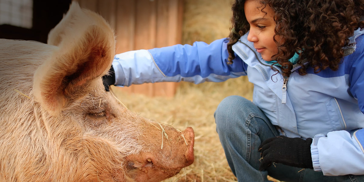girl petting pig
