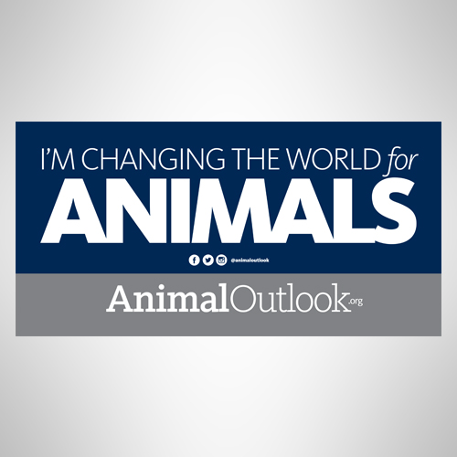 Animal Outlook Bumper Sticker