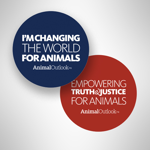 Animal Outlook Stickers