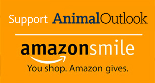 support animal outlook with amazon smile