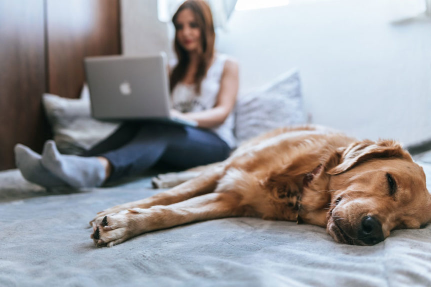 woman on laptop with dog on bed