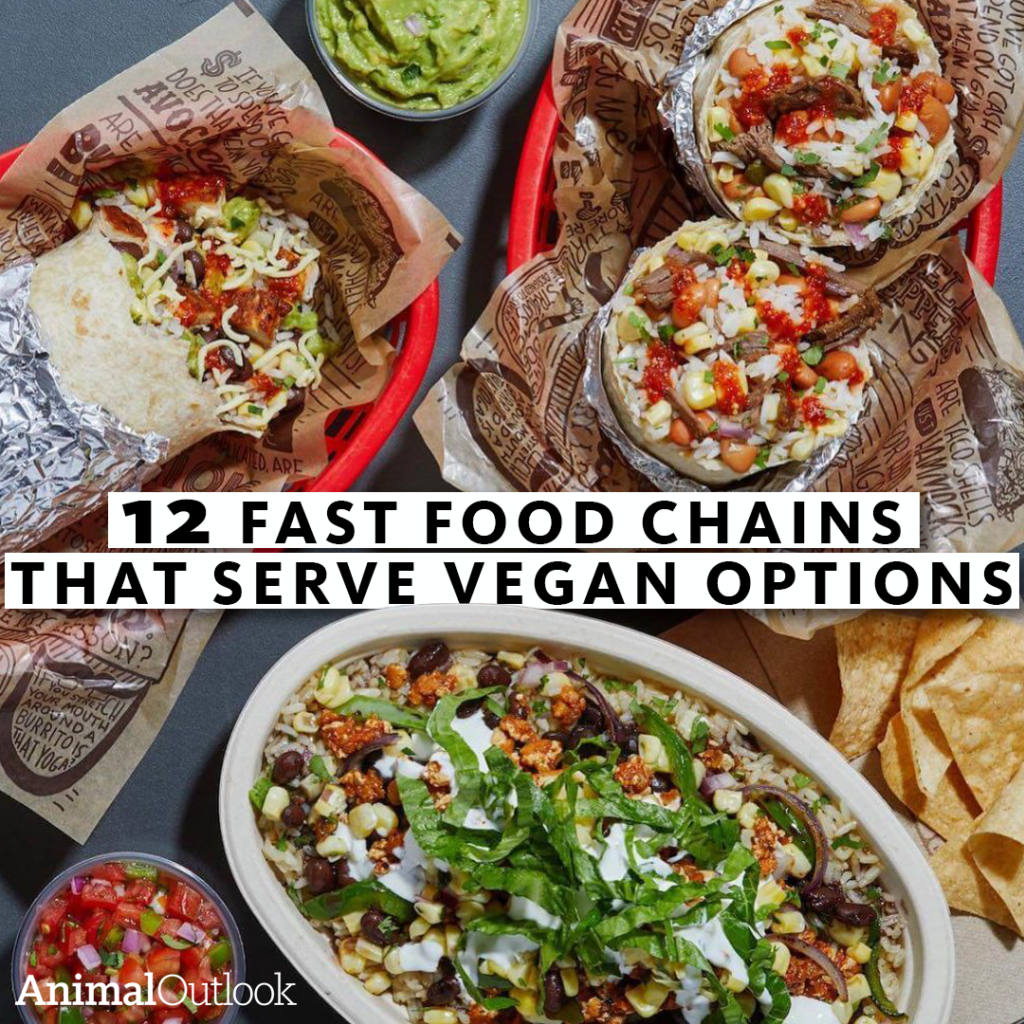 12 Fast Food Chains That Serve Vegan Options - Animal Outlook