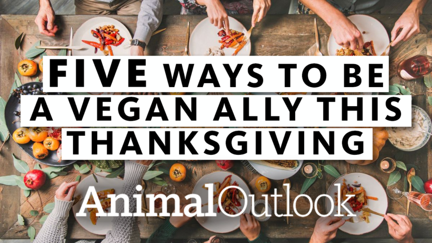 vegan Thanksgiving