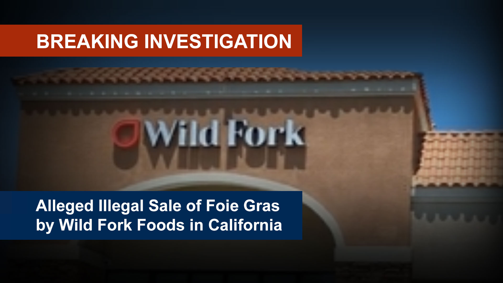wild fork undercover investigation